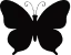 Illustration de papillon 02