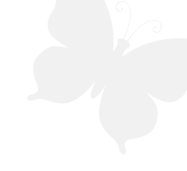 Illustration de papillon